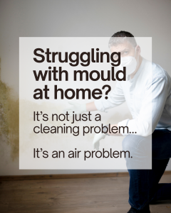 struggling with mould in your home